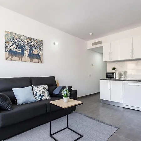 Sur Palmeras 487 Appartement *